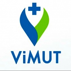 Vinut